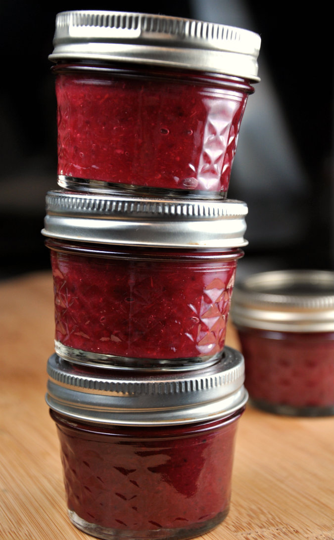 Cranberry Ketchup