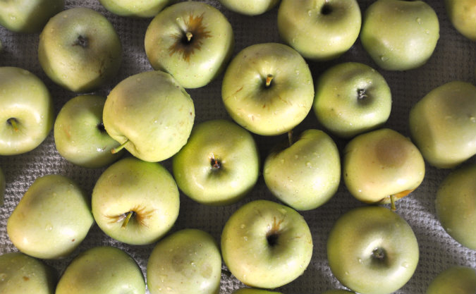 Can It Up: Apples
