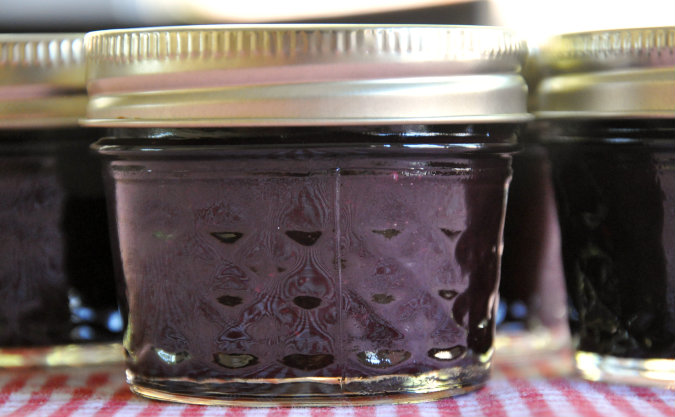 Small-Batch Blackberry Ketchup