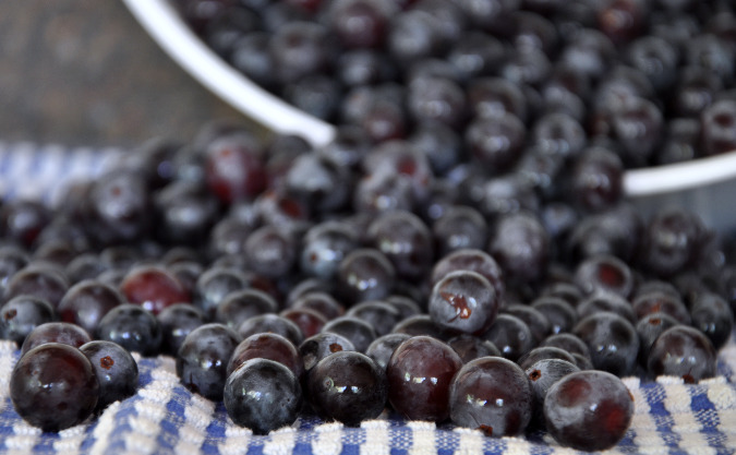 Brandy-infused Concord grapes