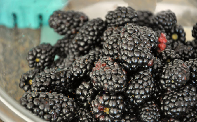 Small-Batch Blackberry Ketchup