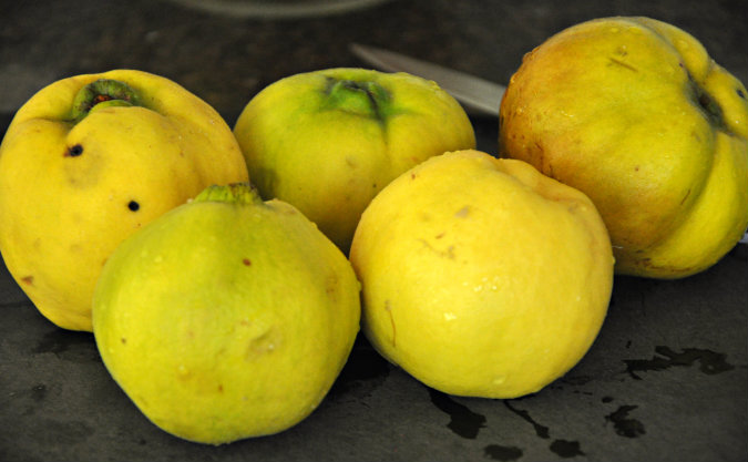 Spicy Quince Chutney