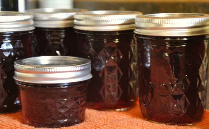 Can It Up: Pomegranate Port Jelly