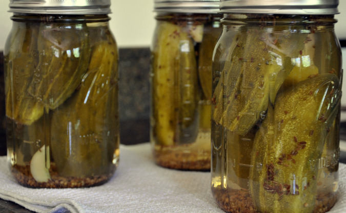 Garlic mustard dill pickles