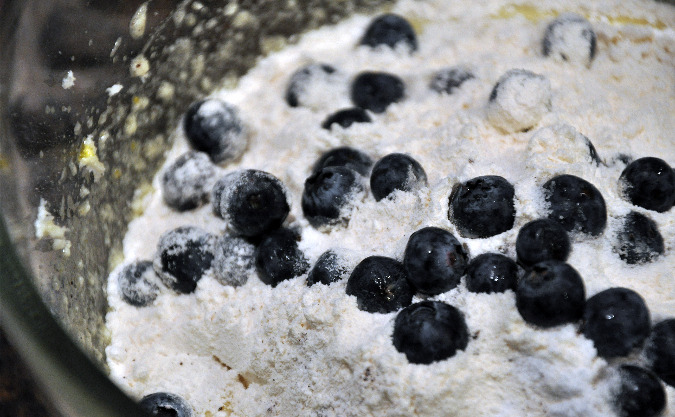 Vanilla cake with blueberries