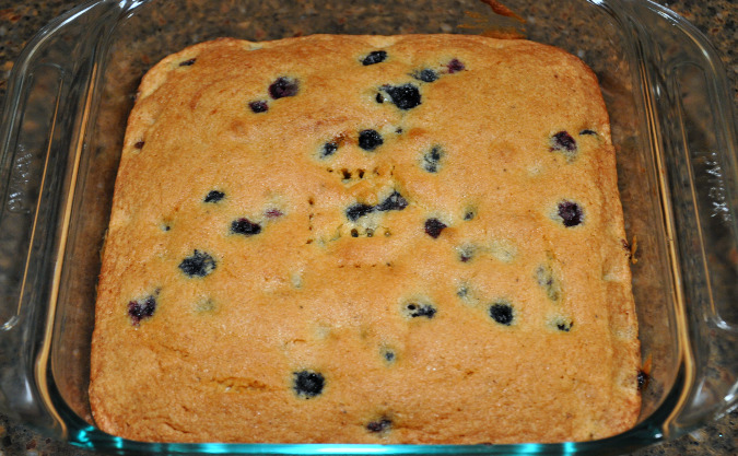 Vanilla cake with blueberries