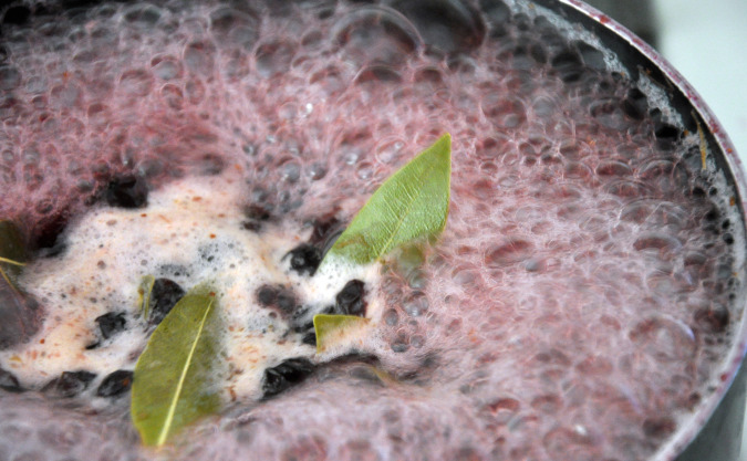 Plum-blueberry spritzers