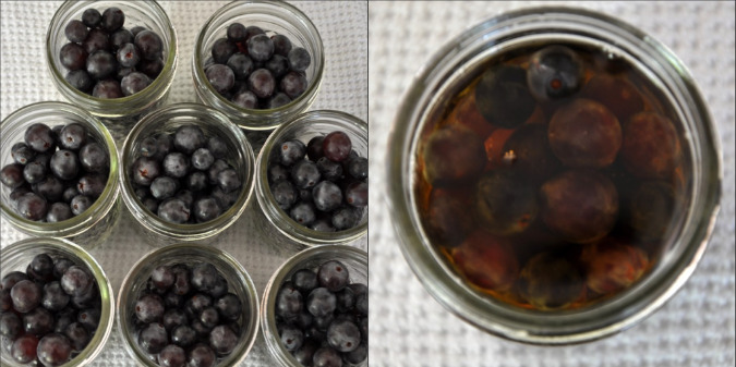 Brandy-infused Concord grapes